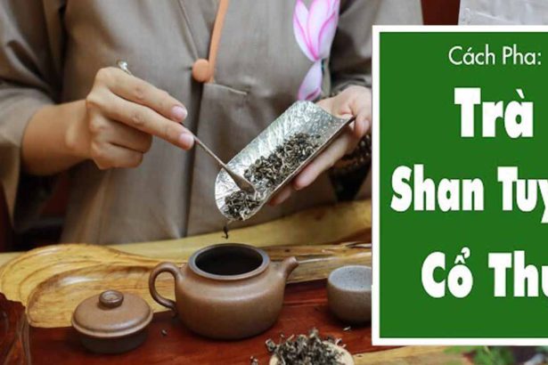 Cách pha trà Shan Tuyết cổ thụ cho người sành